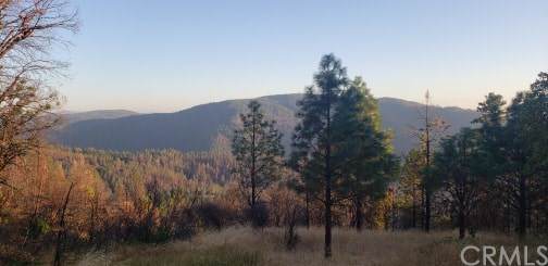 7004 Bunker Hill Mine Road - Photo 1