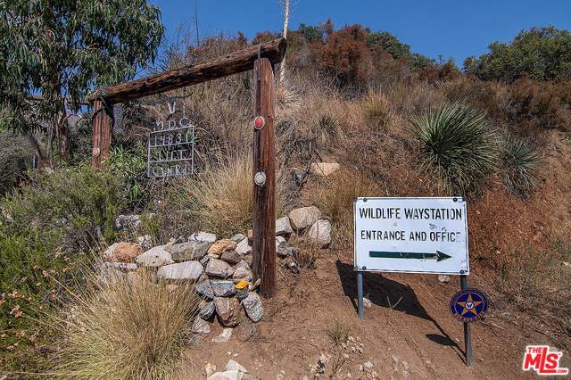 14831 Little Tujunga Canyon Road - Photo 1