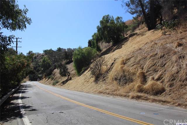 0 Kagel Canyon - Photo 1