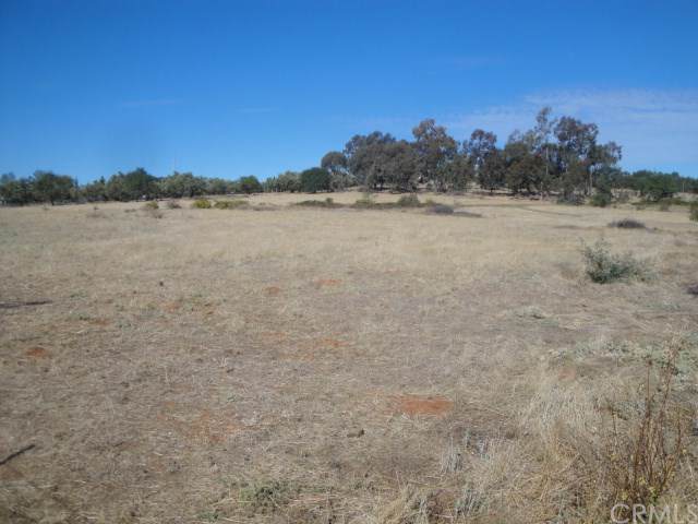 0 Mission Olive Road - Photo 1
