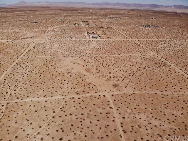 0 Desert Lily - Photo 1