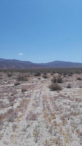 Five Acres Off Dillon Lot 19 - Photo 1