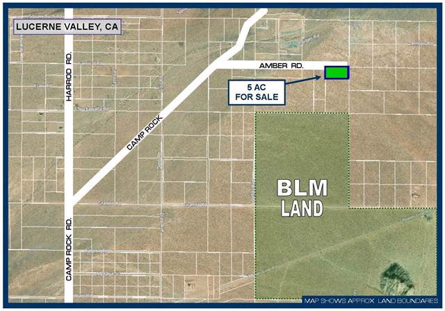 38035 Amber Road - Photo 1
