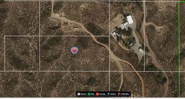 0 Oak Springs Road - Photo 1