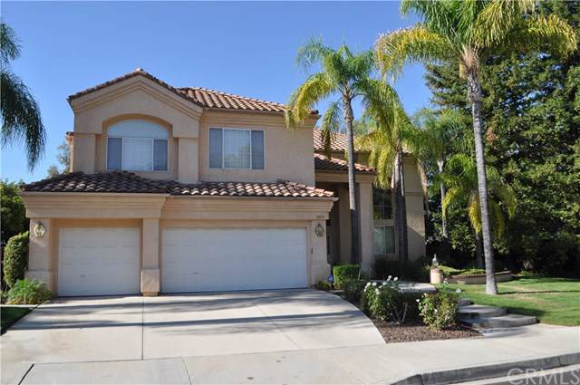 29113 Amberwood Lane - Photo 1