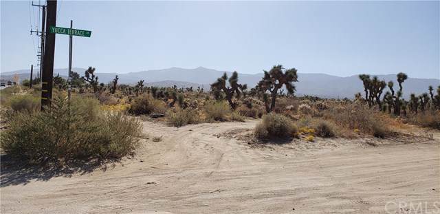 0 Yucca Terrace Drive - Photo 1