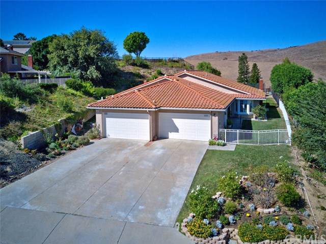 3685 Blue Gum Drive - Photo 1