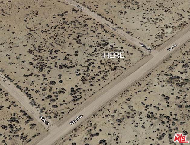 0 Nipa Ave - Photo 1