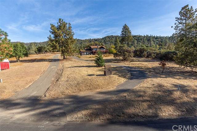5221 Chowchilla Mountain Road - Photo 1