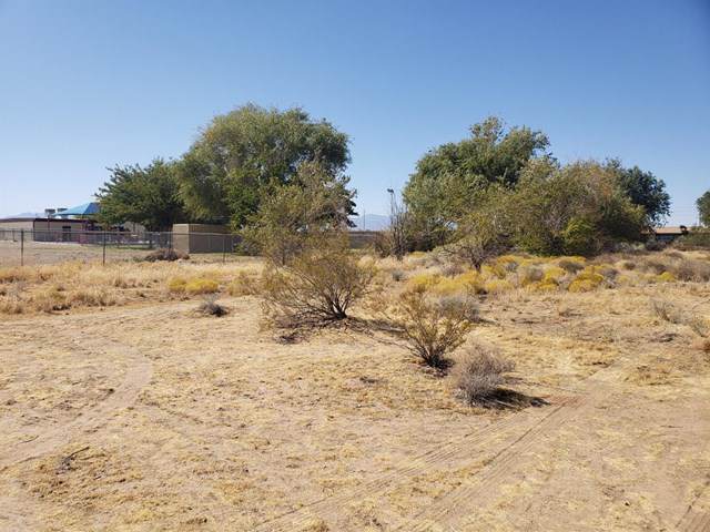 0 Lawson Avenue - Photo 1