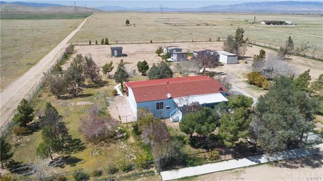 48845 128th Street - Photo 1