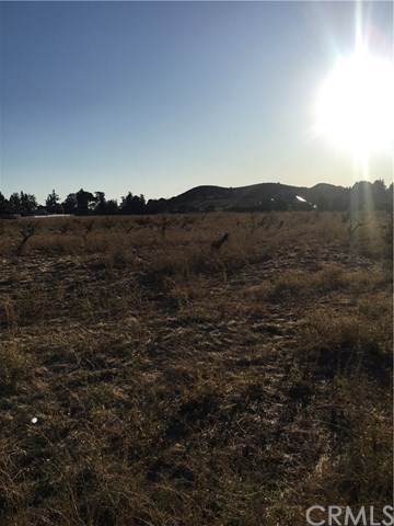 0 Bluff - Photo 1