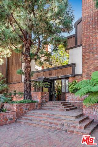 202 San Vicente - Photo 1