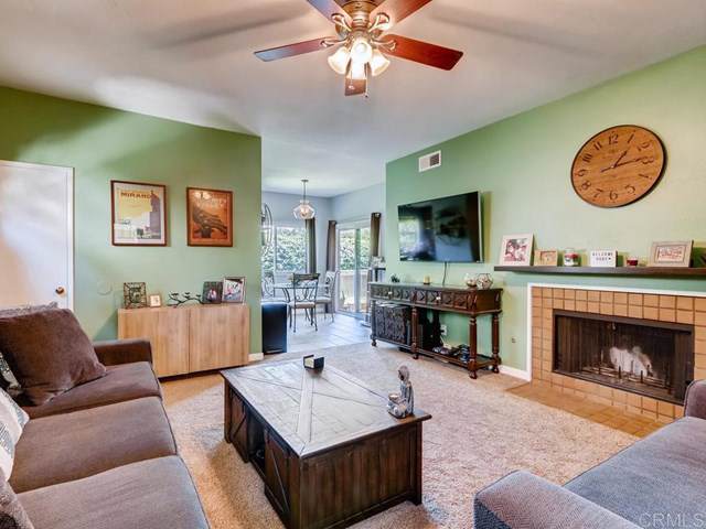 3629 Avocado Village Ct - Photo 1
