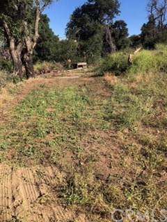 47550 Twin Pines Road - Photo 1