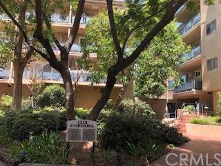 1115 Cordova Street - Photo 1