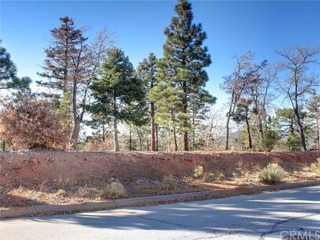 1669 Tuolumne Road - Photo 1