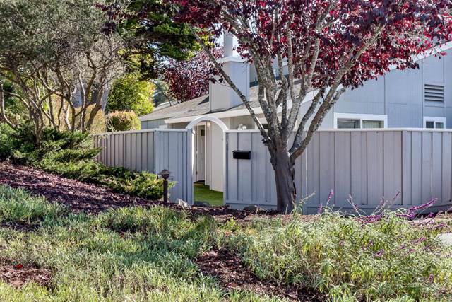 1666 Dolphin Drive - Photo 1