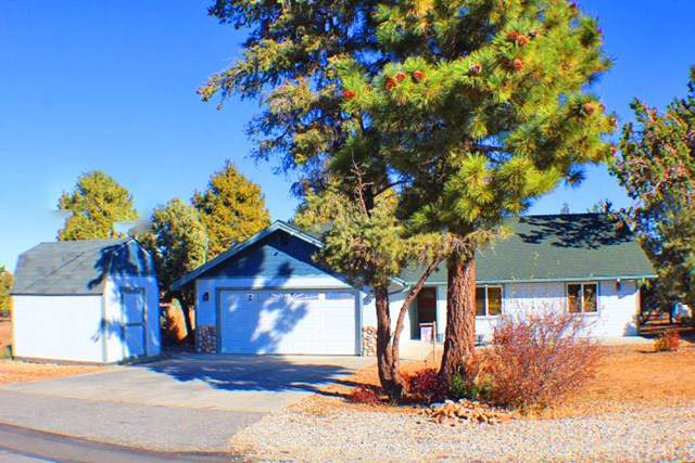 187 Dixie Lee Lane - Photo 1