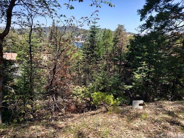 0 Ponderosa Drive - Photo 1