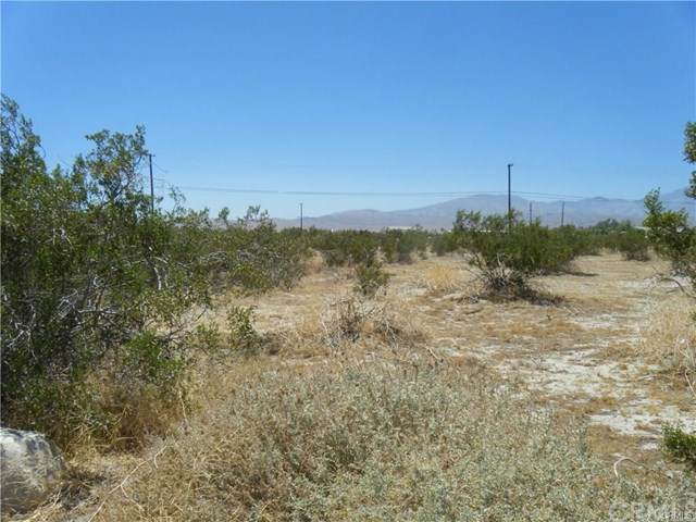 11 Pierson Boulevard - Photo 1