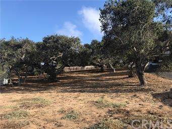 850 12th Street - Photo 1