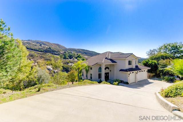 3253 Armagosa Way - Photo 1