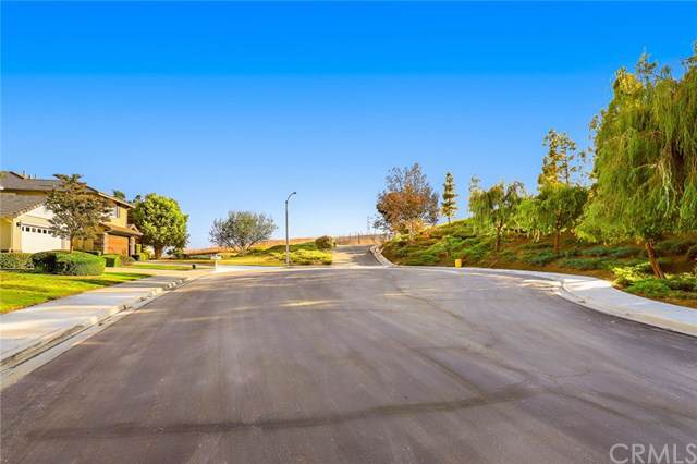 16891 Morning Glory Court - Photo 1