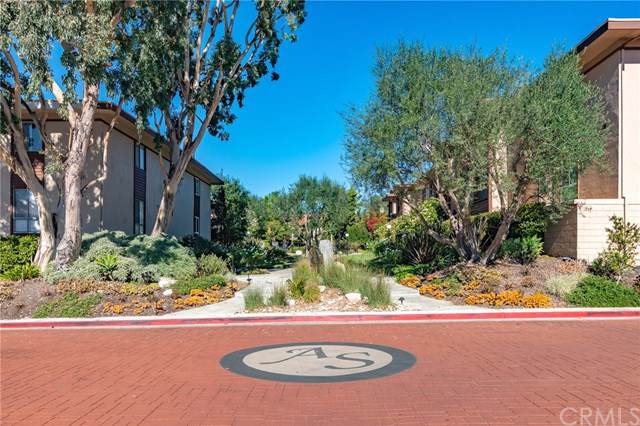5927 Armaga Spring Road - Photo 1