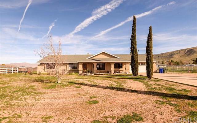 9623 Mesquite Street - Photo 1