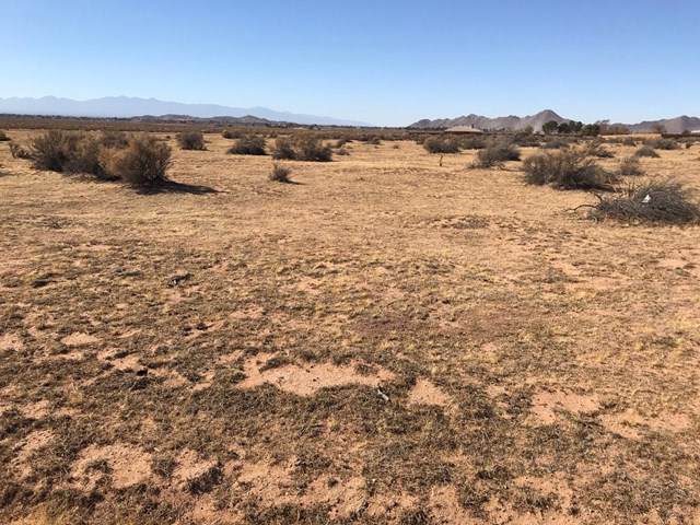 0 Mesquite Road - Photo 1