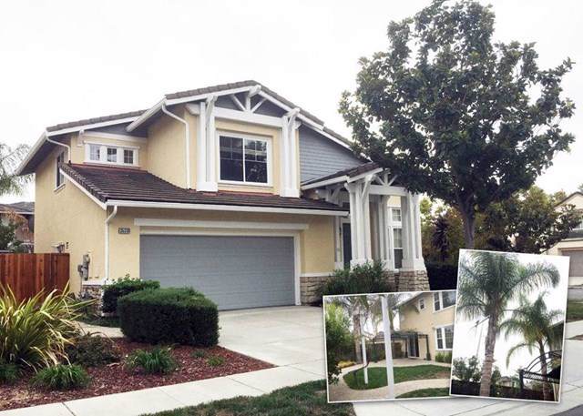 35330 Terra Cotta Circle - Photo 1