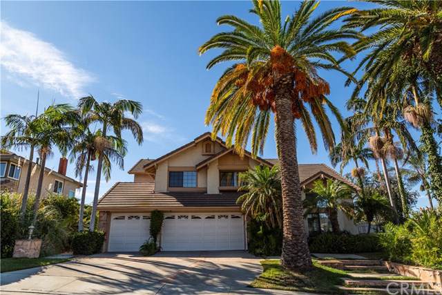 2668 Vista Bluff - Photo 1