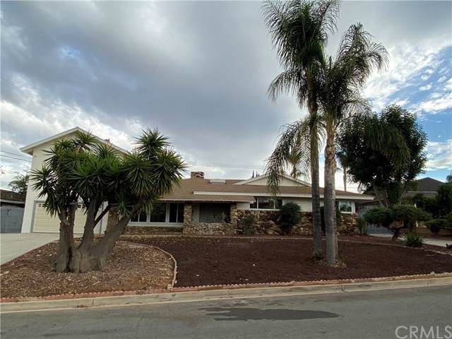1173 Hummingbird Lane - Photo 1