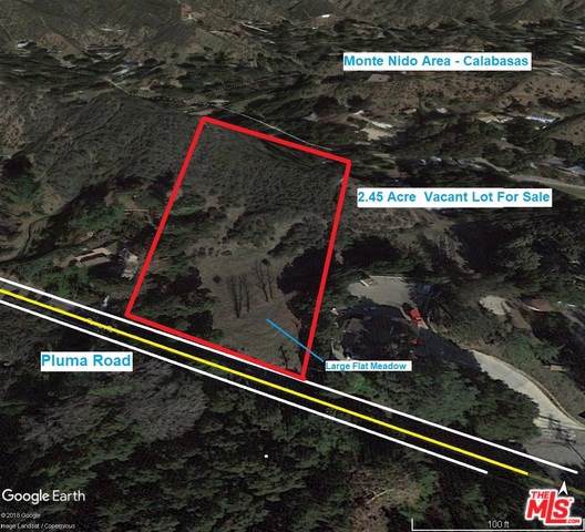 25833 Piuma Road - Photo 1