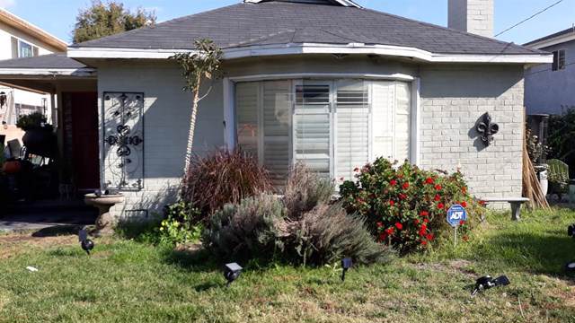 6926 Morella Avenue - Photo 1