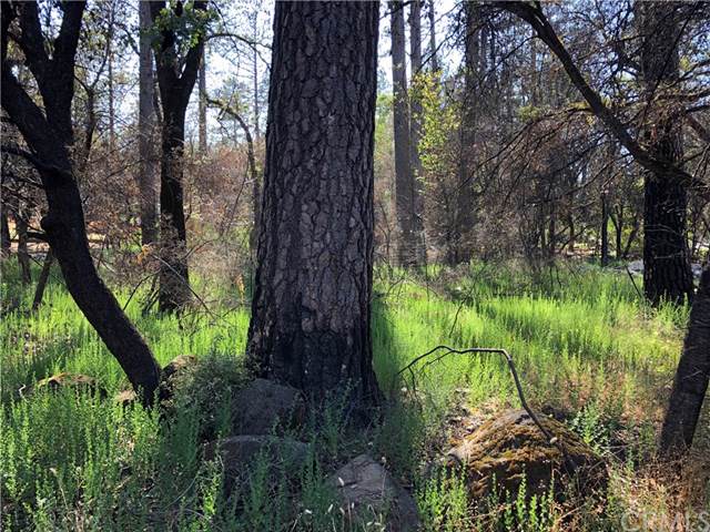 705 Buschmann Road - Photo 1