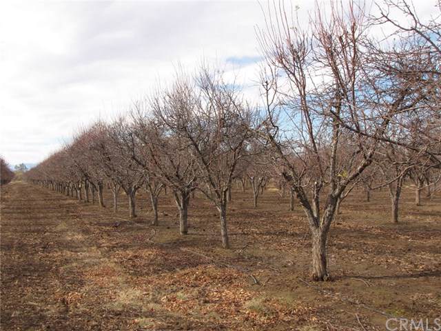 22005 Gilmore Ranch Road - Photo 1