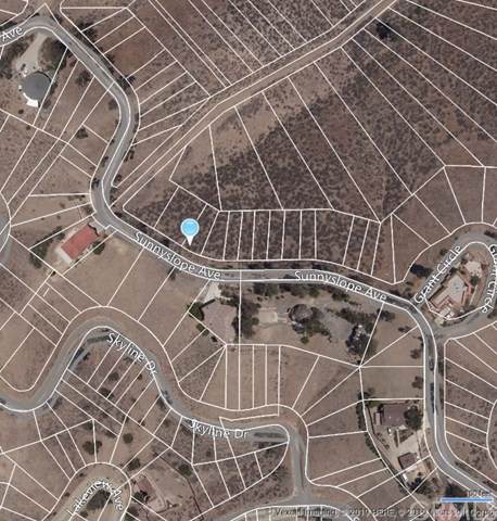 0 Sunnyslope - Photo 1