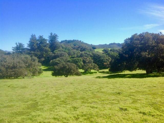 8330 Vista Monterra - Photo 1
