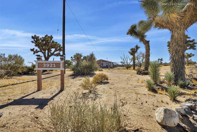 3921 Condalia Avenue - Photo 1
