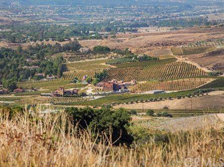 0 Camino Lorado - Photo 1