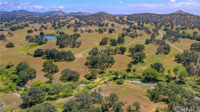 2231 Thunder Road - Photo 1