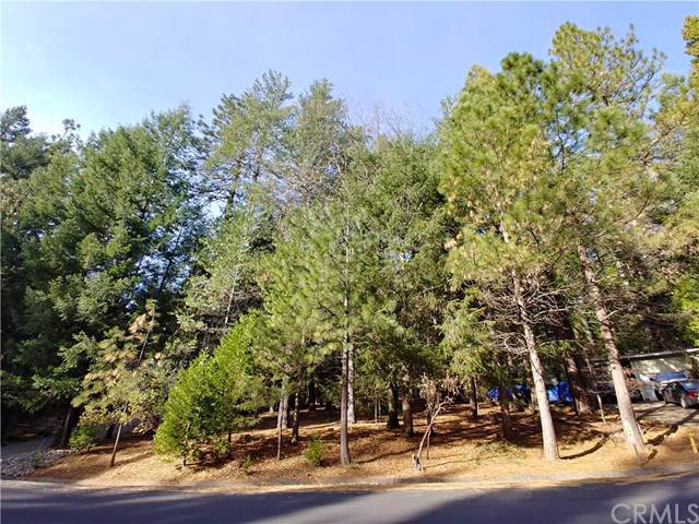 0 Carnegie Road - Photo 1