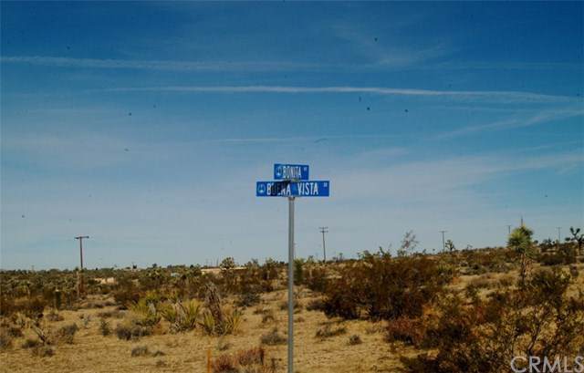 0 Buena Vista - Photo 1