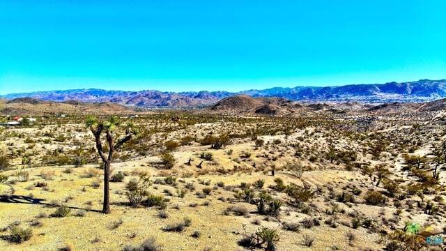 65 Bon Mar/Buena Vista - Photo 1