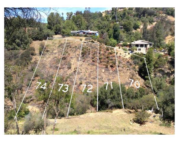2424 Purple Drive - Photo 1
