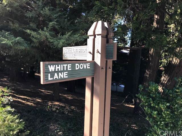 28980 White Dove Lane - Photo 1