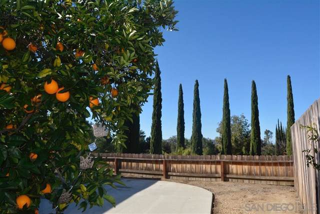 18218 Paradise Mountain Rd - Photo 1