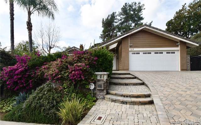 449 Acaso Drive - Photo 1